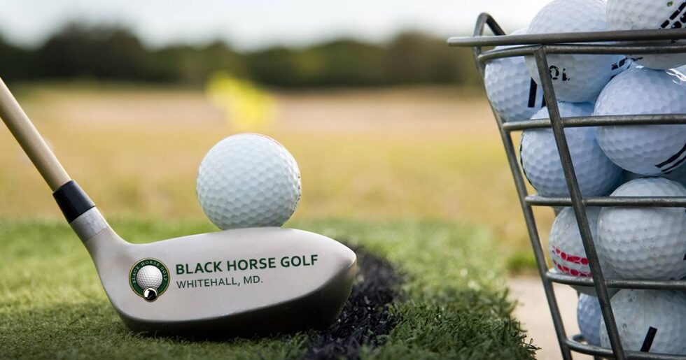 Home - Black Horse Golf